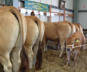 Lincs Show Row-up 2005